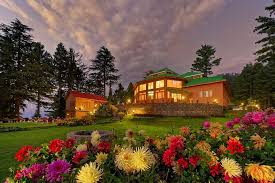 A Night at The Spruce Resort