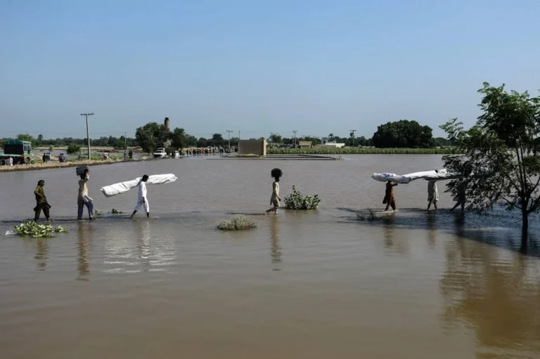 Punjab Rivers Return to Normal as Monsoon Season Ends – DG PDMA Punjab Rivers Return to Normal